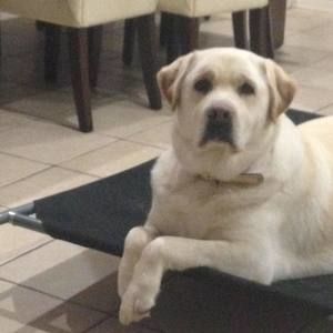 Meet your Posher, Katrina